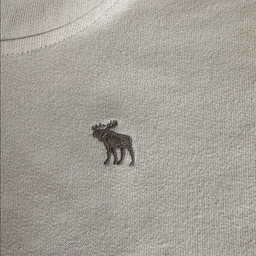 Abercrombie Kids Taupe and Stone hoodies! Boys size 15/16, great used condition! - Picture 3 of 14